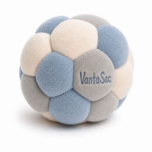 Argentina World Cup Sack